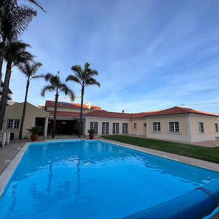 With Palm Tree Heated Pool サン・マルティーニョ・ド・ポルト