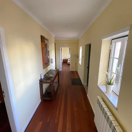 With Palm Tree Heated Pool サン・マルティーニョ・ド・ポルト