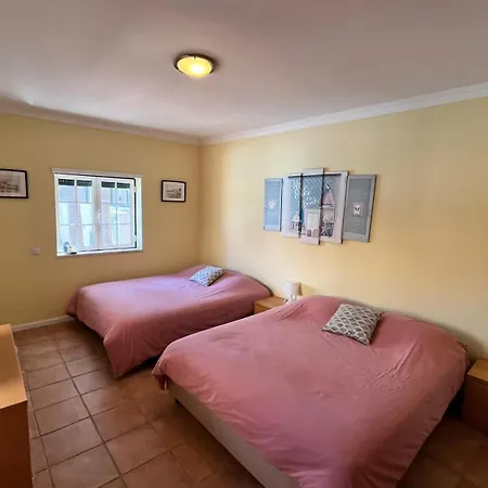 With Palm Tree Heated Pool サン・マルティーニョ・ド・ポルト