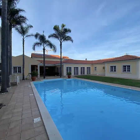 With Palm Tree Heated Pool ساو مارتينهو دو بورتو