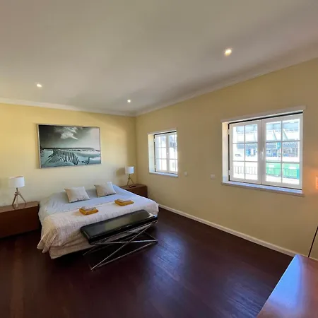 With Palm Tree Heated Pool ساو مارتينهو دو بورتو