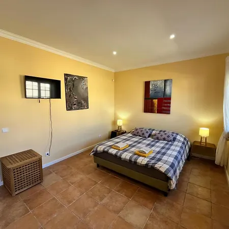 With Palm Tree Heated Pool فندق مبيت وإفطار ساو مارتينهو دو بورتو